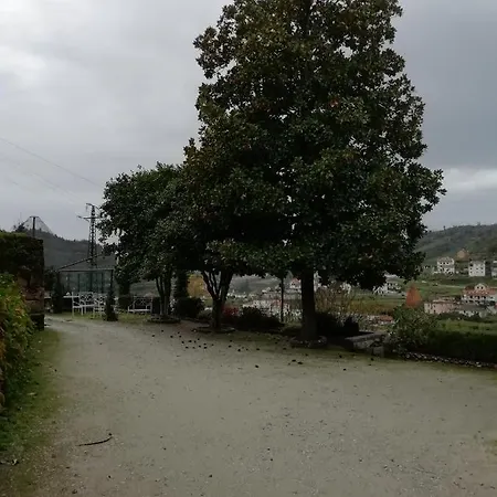 Quinta Da Tapada * Avo