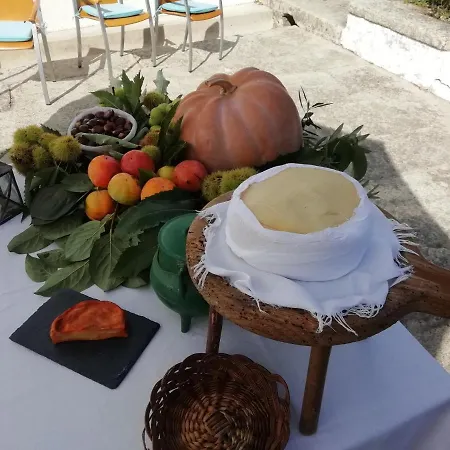 Quinta Da Tapada * Avo
