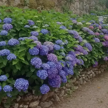 Farm stay Quinta Da Tapada Avo
