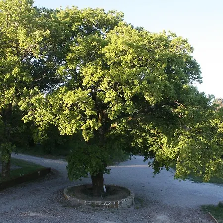 Quinta Da Tapada Pensión *